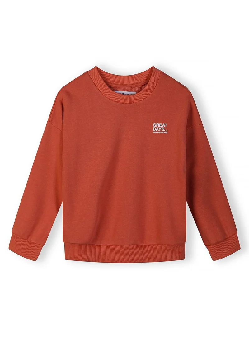 مينوتي Unisex sweatshirt 2-pack blue red chest print 3-15 years